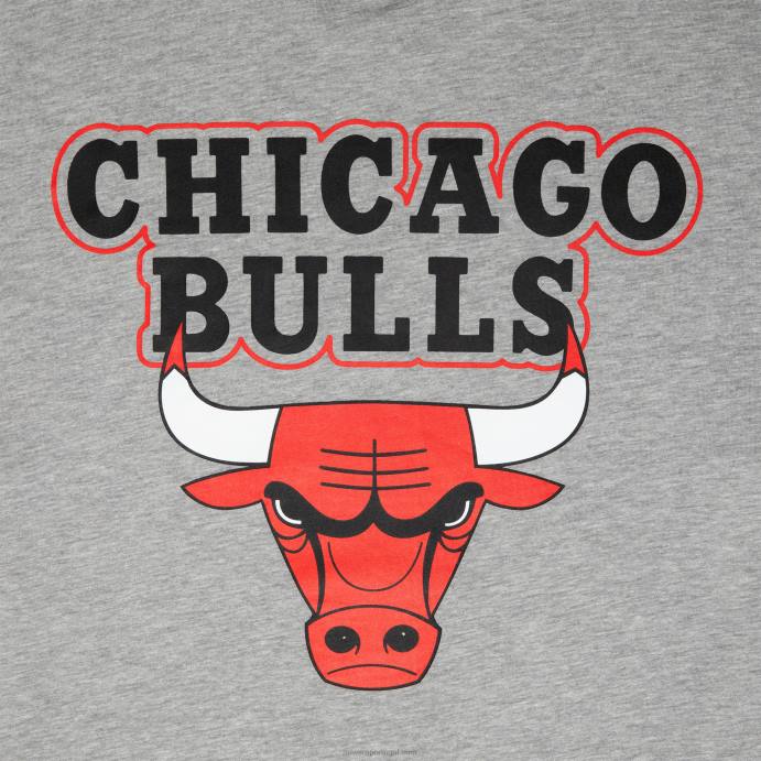 FFTN3000 New Era chicago bulls nba paris games camiseta cinza